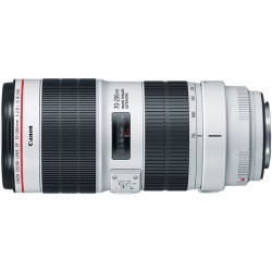 Canon Lente Zoom EF 70-200mm f/2.8L III USM Telephoto con estabilizador