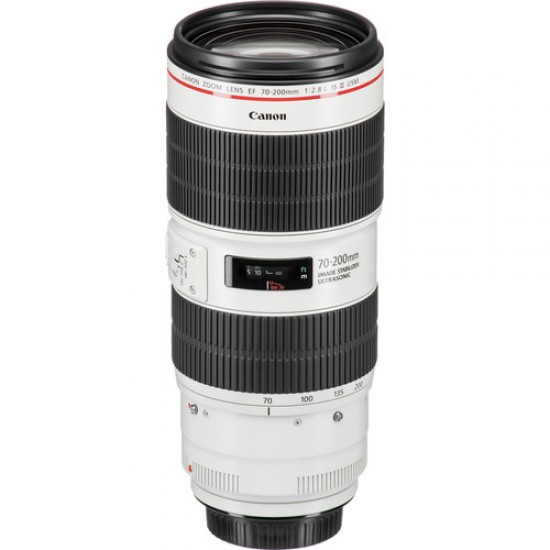 Canon Lente Zoom EF 70-200mm f/2.8L III USM Telephoto con estabilizador