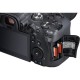 Canon Camara EOS R6 Mirrorless  (SOLO CUERPO)