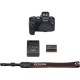 Canon Camara EOS R6 Mirrorless  (SOLO CUERPO)