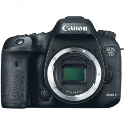 Canon 7D Mark II  Cámara DSLR (sólo cuerpo) 