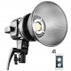 GVM P80S-II LED Compacto 5600K con alto CRI de 97