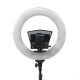 Ikan HS-PROMPTER RL Teleprompter HomeStream con Ring Light