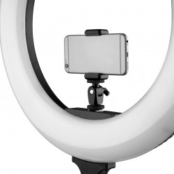 Ikan Ring Light 18" Bi-Color LED  95+ CRI RLB48