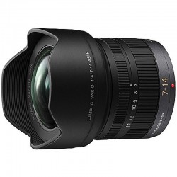 Panasonic Lumix 7-14mm f/4 ASPH G Vario Mega O.I.S 