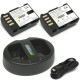 Wasabi BLF-19 2 Baterías y Cargador Doble USB para Panasonic